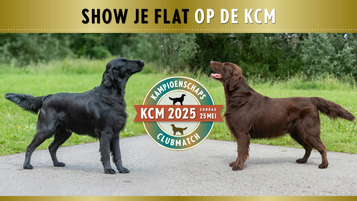 KCM 2025 Show je Flat